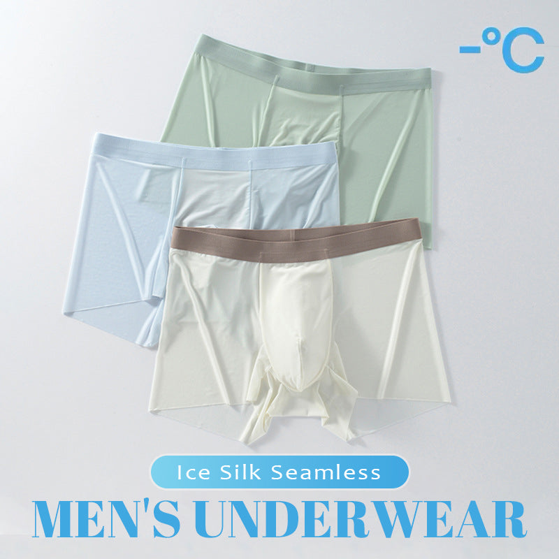 🔥Kaufen Sie 1 und erhalten Sie 2 gratis🔥Ice Silk Nahtlos Herren Underwear❄️