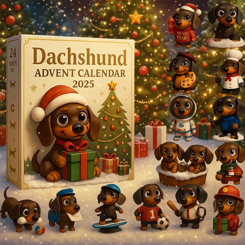 🐾 Dackel Adventskalender 2025