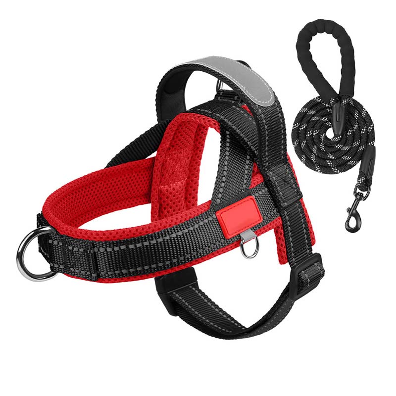🐾 Premium Pet Saddle Harness – Komfort, Kontrolle und Sicherheit bei jedem Schrit