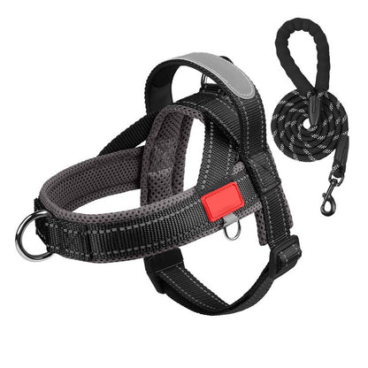 🐾 Premium Pet Saddle Harness – Komfort, Kontrolle und Sicherheit bei jedem Schrit
