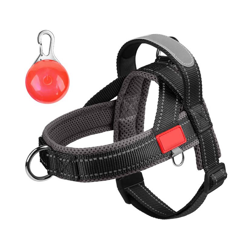 🐾 Premium Pet Saddle Harness – Komfort, Kontrolle und Sicherheit bei jedem Schrit