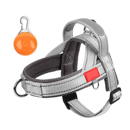 🐾 Premium Pet Saddle Harness – Komfort, Kontrolle und Sicherheit bei jedem Schrit