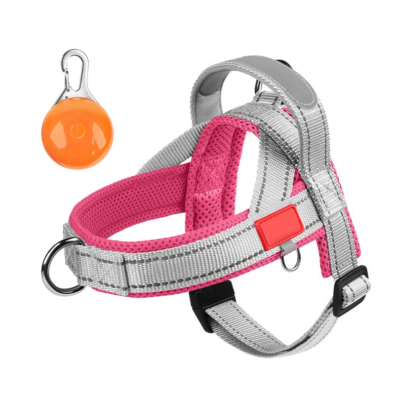 🐾 Premium Pet Saddle Harness – Komfort, Kontrolle und Sicherheit bei jedem Schrit