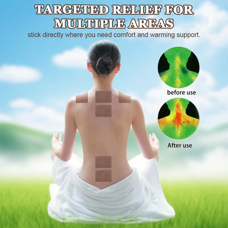 🔥2025 Heißer Verkau🎁Malmört Moxibustion Gewrichtspleisters