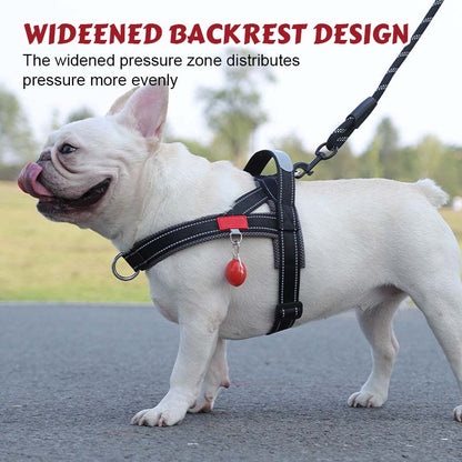 🐾 Premium Pet Saddle Harness – Komfort, Kontrolle und Sicherheit bei jedem Schrit