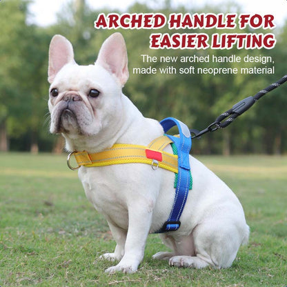 🐾 Premium Pet Saddle Harness – Komfort, Kontrolle und Sicherheit bei jedem Schrit