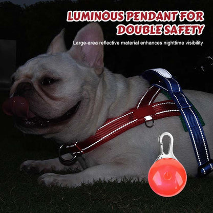 🐾 Premium Pet Saddle Harness – Komfort, Kontrolle und Sicherheit bei jedem Schrit