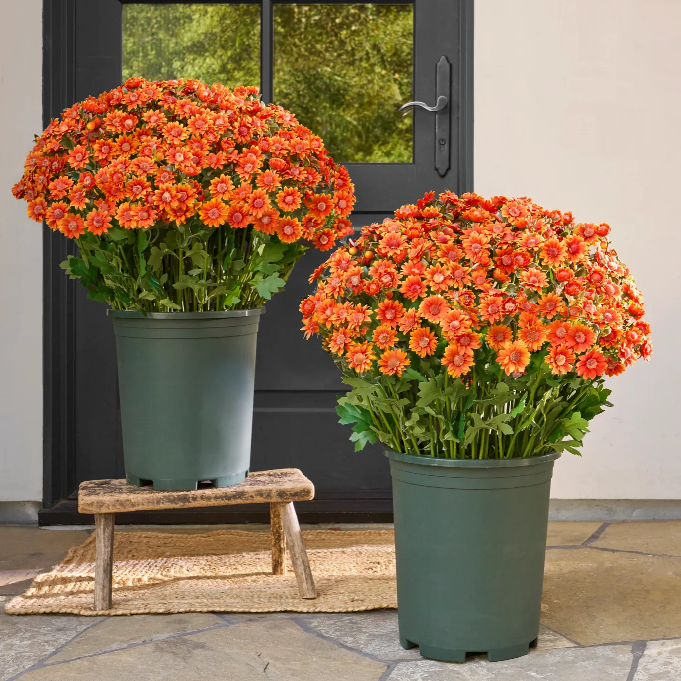 🌼- Künstliche Chrysanthemen für den Außenbereich (Sunset Mums) - UV-beständig, wasserdicht, windfest