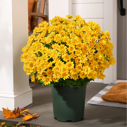 🌼- Künstliche Chrysanthemen für den Außenbereich (Sunset Mums) - UV-beständig, wasserdicht, windfest