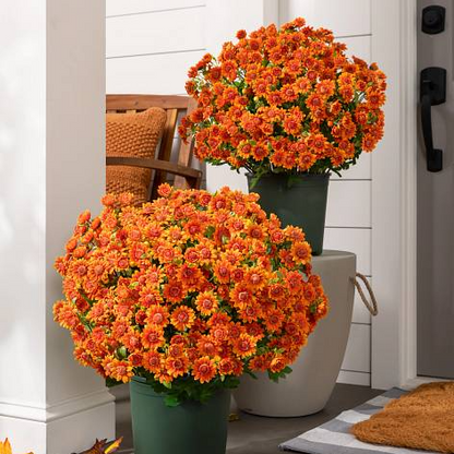 🌼- Künstliche Chrysanthemen für den Außenbereich (Sunset Mums) - UV-beständig, wasserdicht, windfest