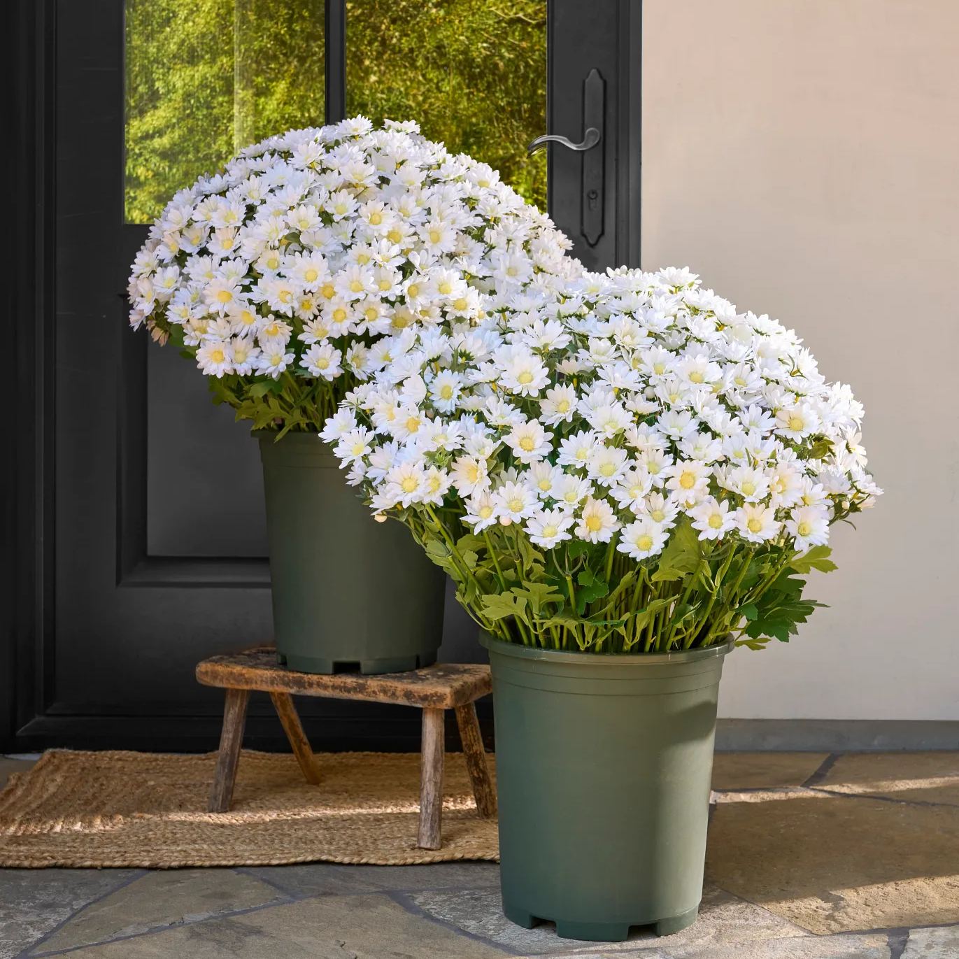 🌼- Künstliche Chrysanthemen für den Außenbereich (Sunset Mums) - UV-beständig, wasserdicht, windfest
