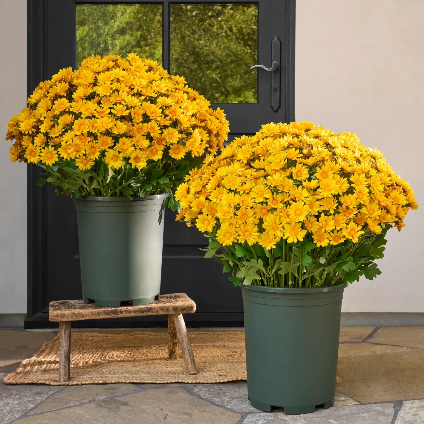 🌼- Künstliche Chrysanthemen für den Außenbereich (Sunset Mums) - UV-beständig, wasserdicht, windfest